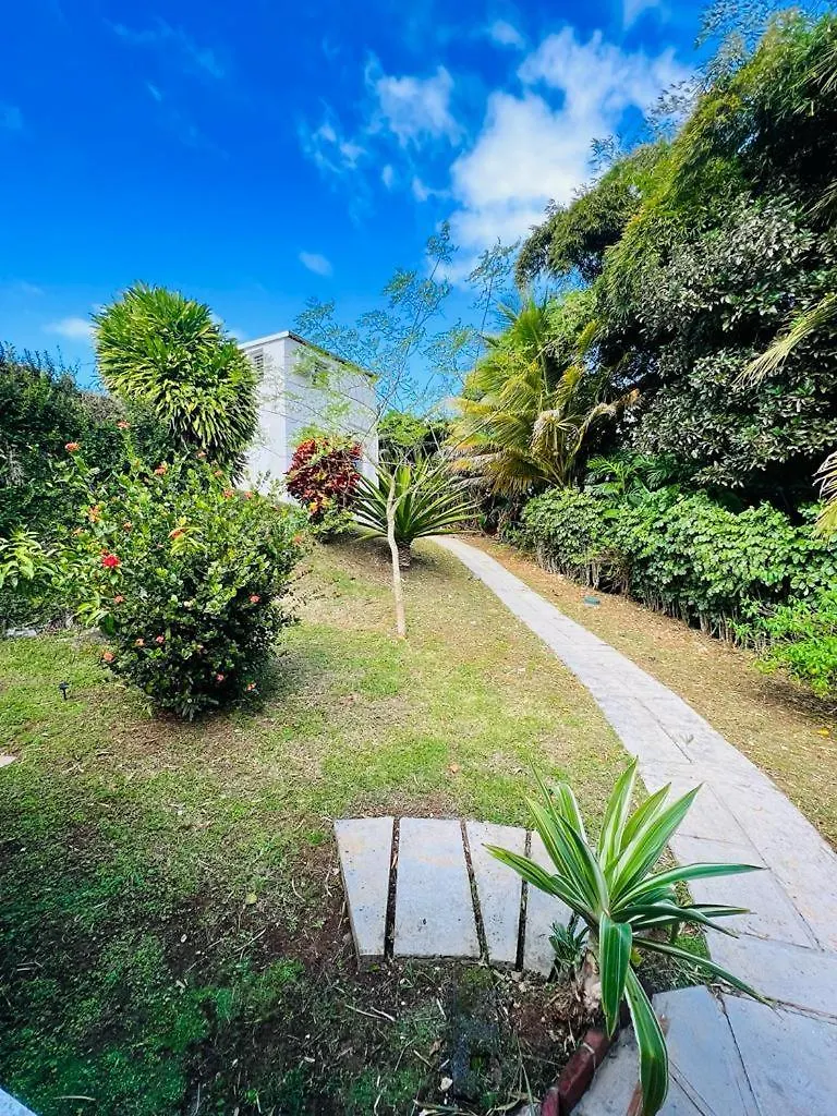 Apartment Duplex En Pleine Nature A Vernou Petit-Bourg